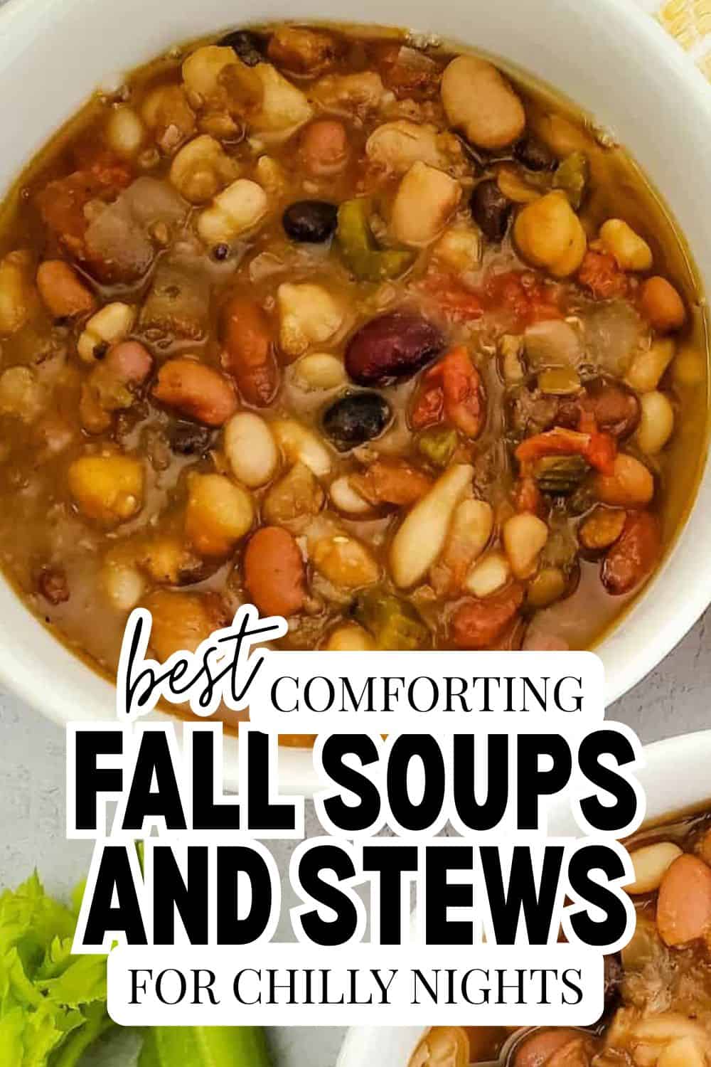 Hearty fall soups and stews in a white bowl, perfect for chilly nights.