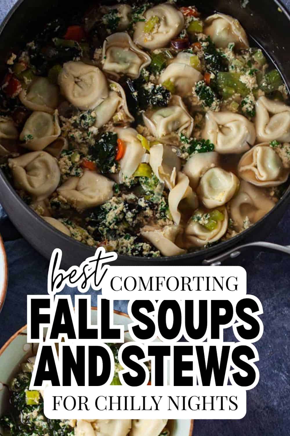 Hearty fall soups and stews with dumplings, vegetables, and herbs in a pot.