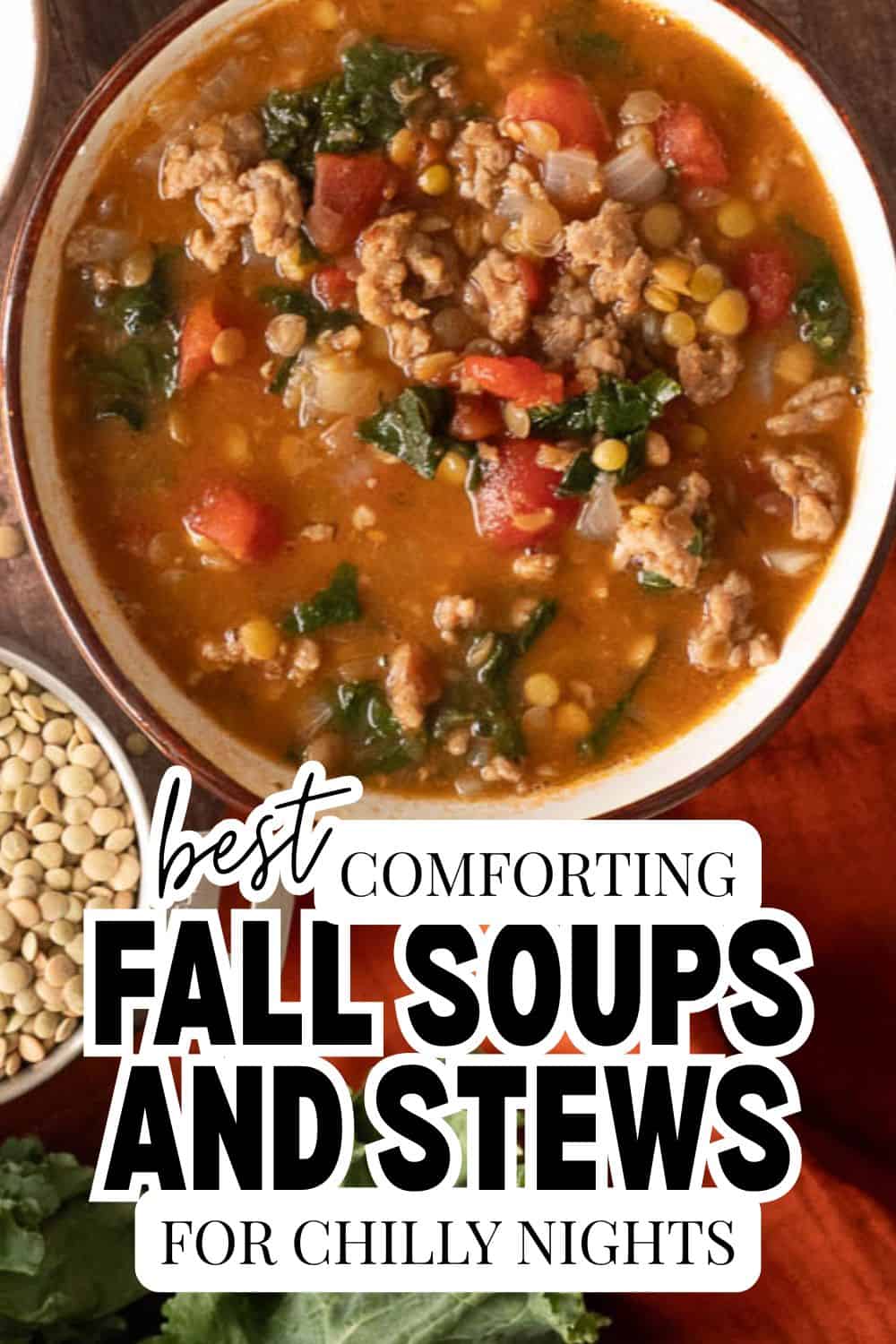 Comforting fall soups and stews with vegetables and ground meat in a bowl.