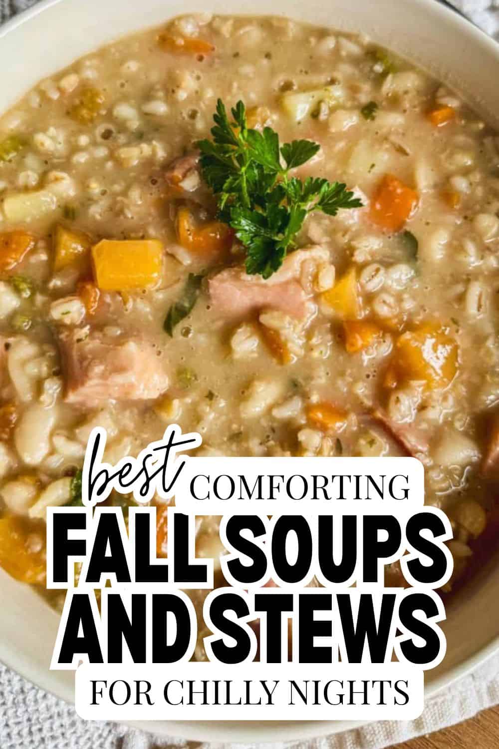 Close-up of hearty fall soup with vegetables and herbs in a bowl.