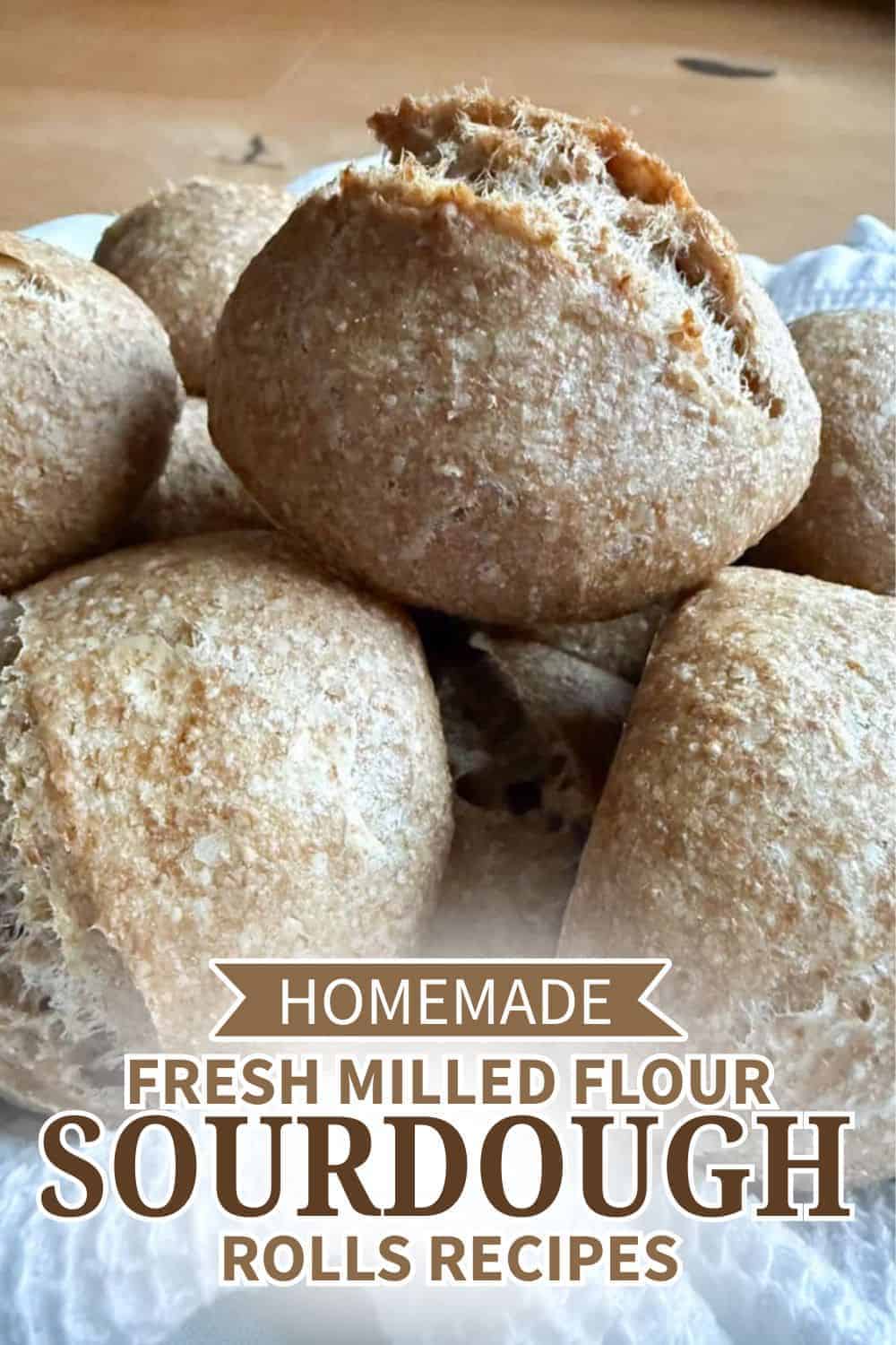 Homemade sourdough rolls made with fresh milled flour for delicious baking.