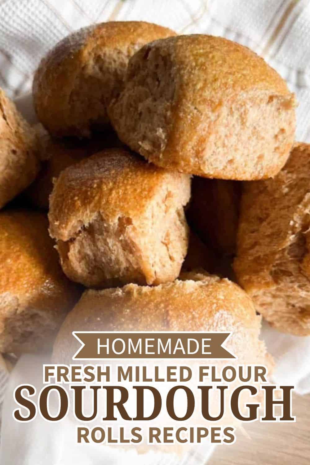 Homemade sourdough rolls made with fresh milled flour on a white cloth.