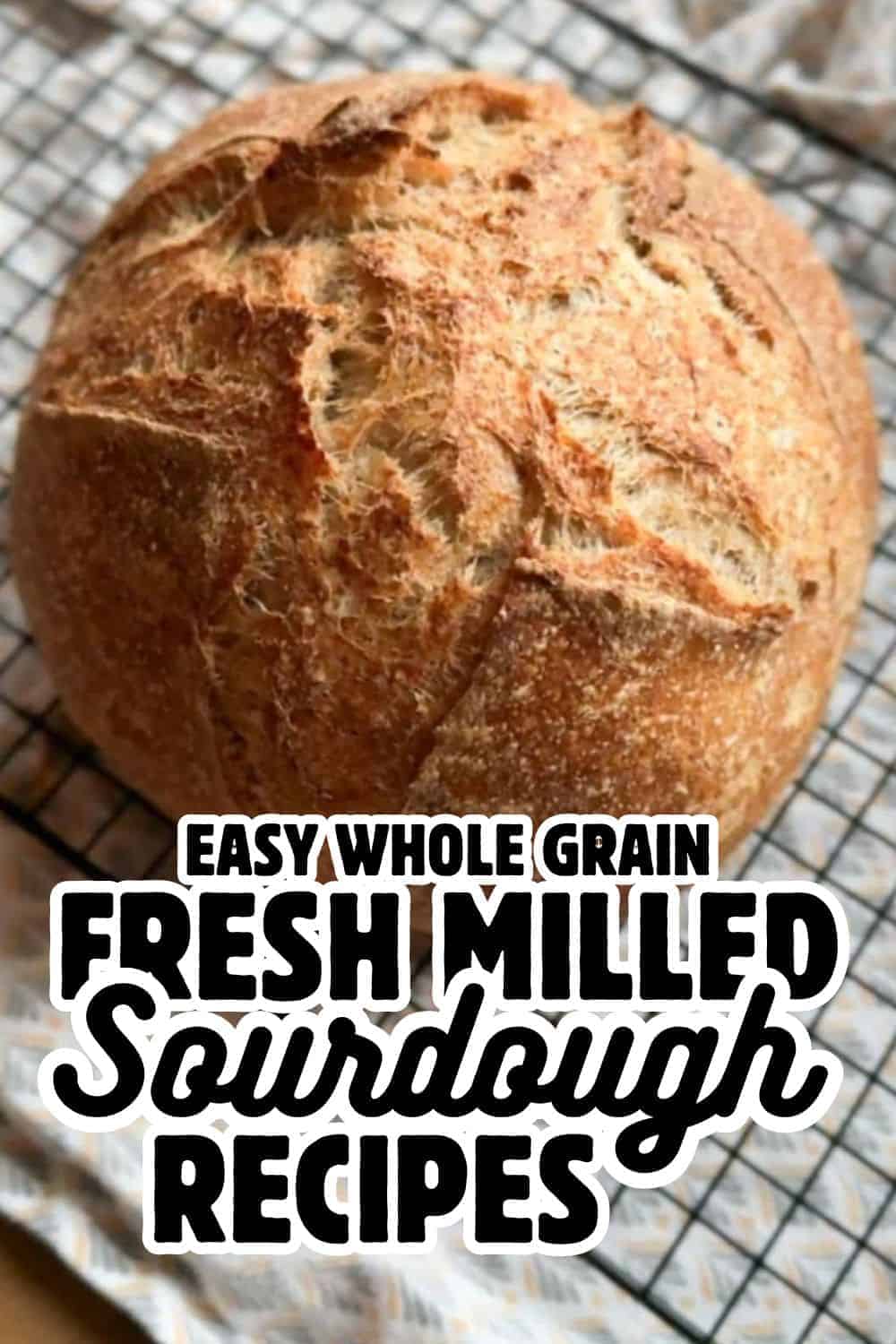 Freshly baked whole grain sourdough bread made with milled grains.