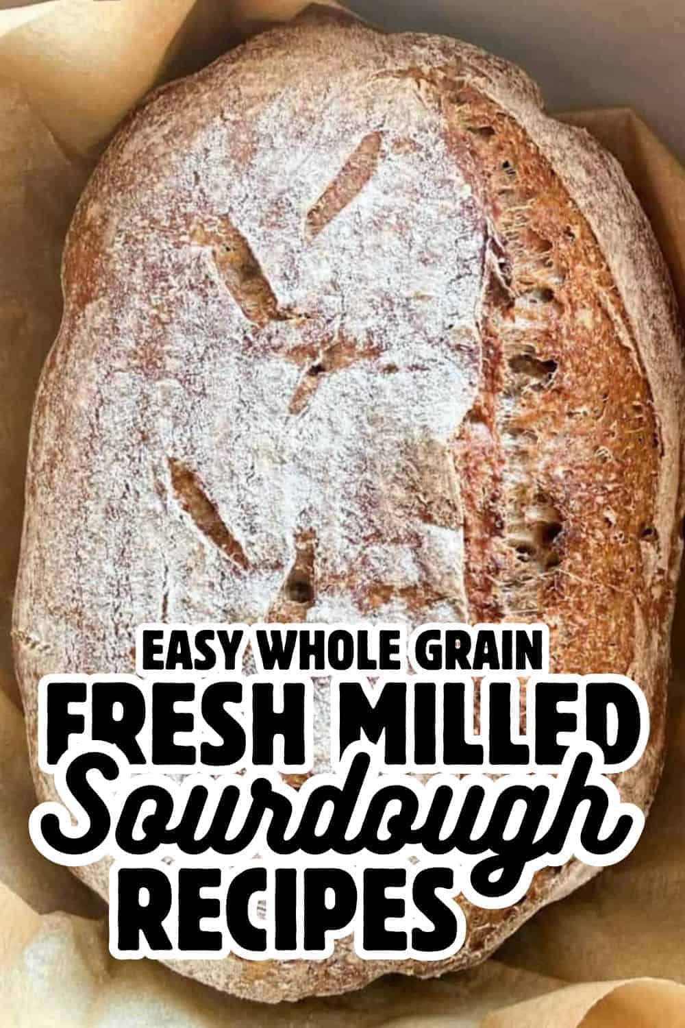 Freshly baked whole grain sourdough bread with a rustic crust and flour dusting.
