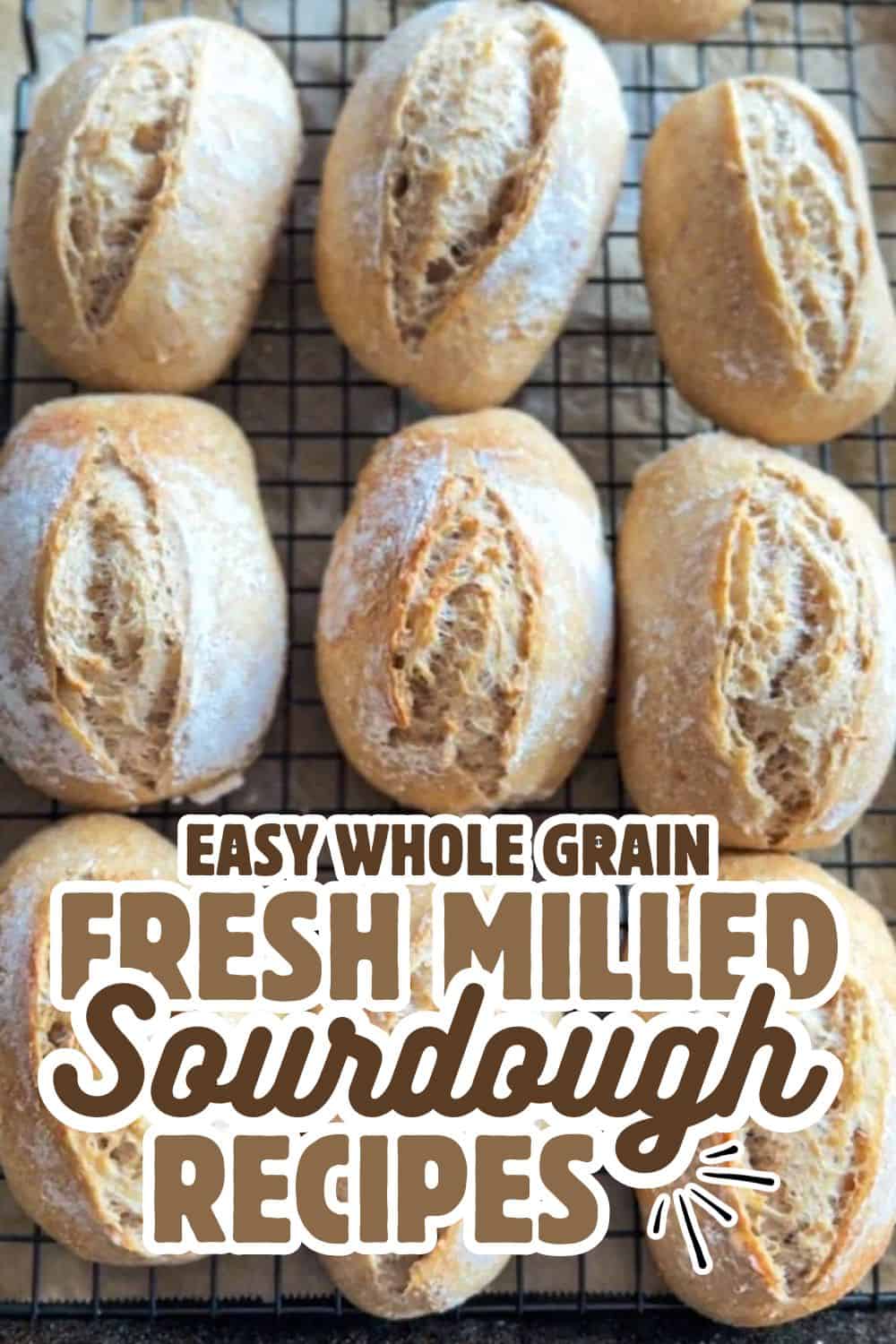 Freshly baked sourdough bread rolls with a rustic crust on a cooling rack.