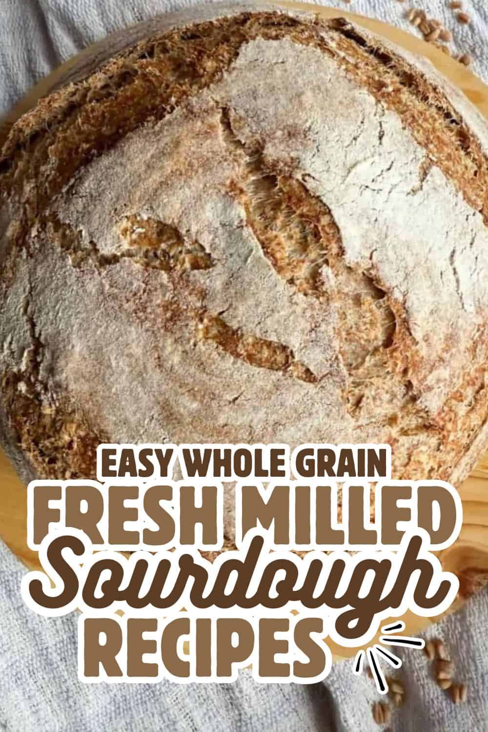 Fresh whole grain sourdough bread made with stretch and fold technique for perfect crust and texture.