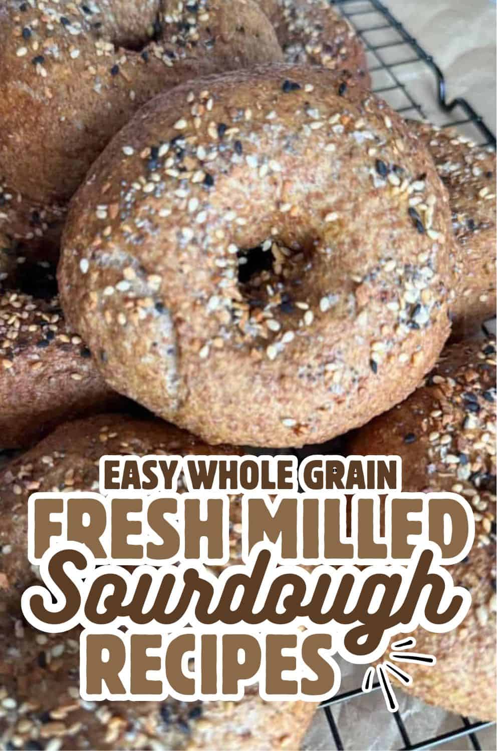 Fresh whole grain sourdough bagels topped with seeds on a cooling rack.