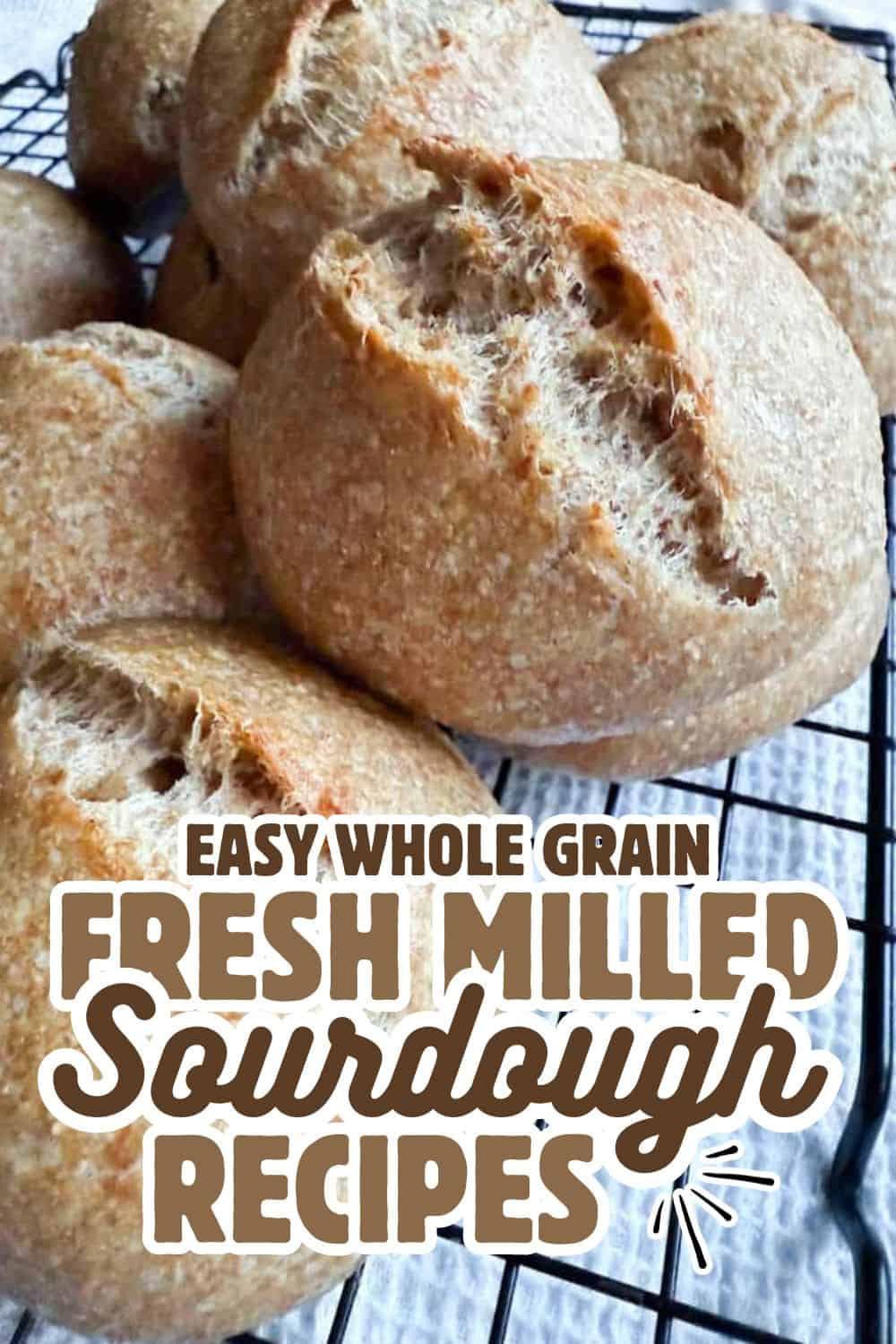 Freshly baked whole grain sourdough bread rolls on a cooling rack.