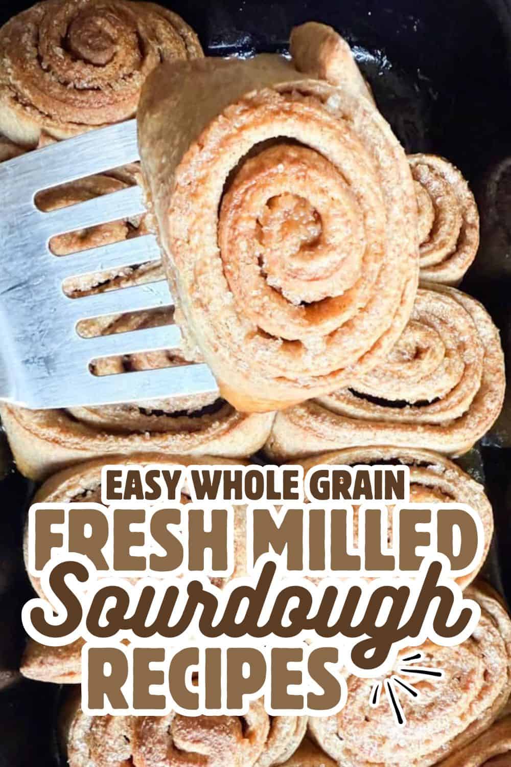 Freshly baked whole grain sourdough rolls with spiral pattern, perfect for bread lovers.