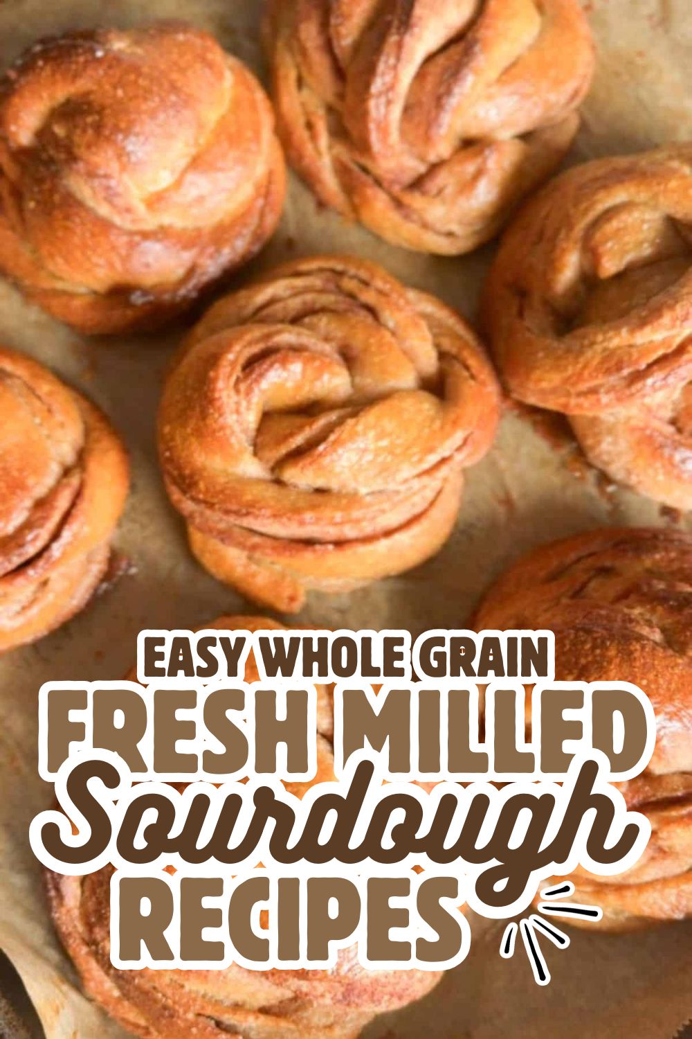 Freshly baked whole grain sourdough rolls with a golden crust and soft interior.