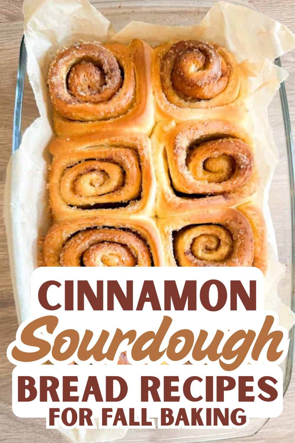 Freshly baked cinnamon sourdough bread rolls in a baking dish.