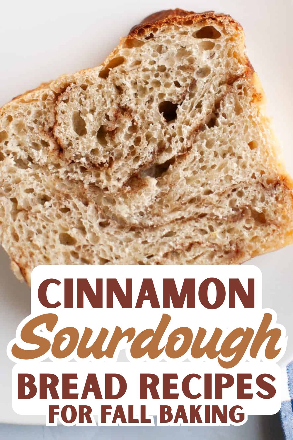 Close-up of cinnamon sourdough bread slice with airy crumb and crust.