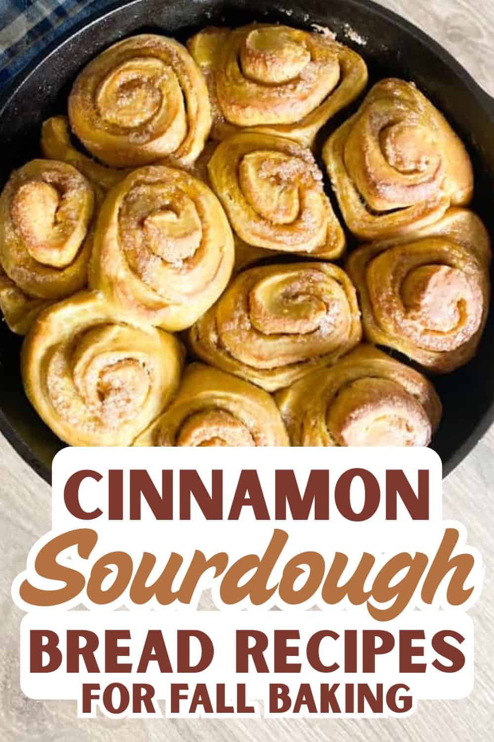 Freshly baked cinnamon sourdough bread rolls in a skillet for fall baking.