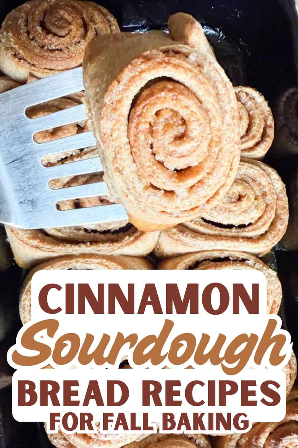 Fresh cinnamon sourdough bread rolls on a baking tray.