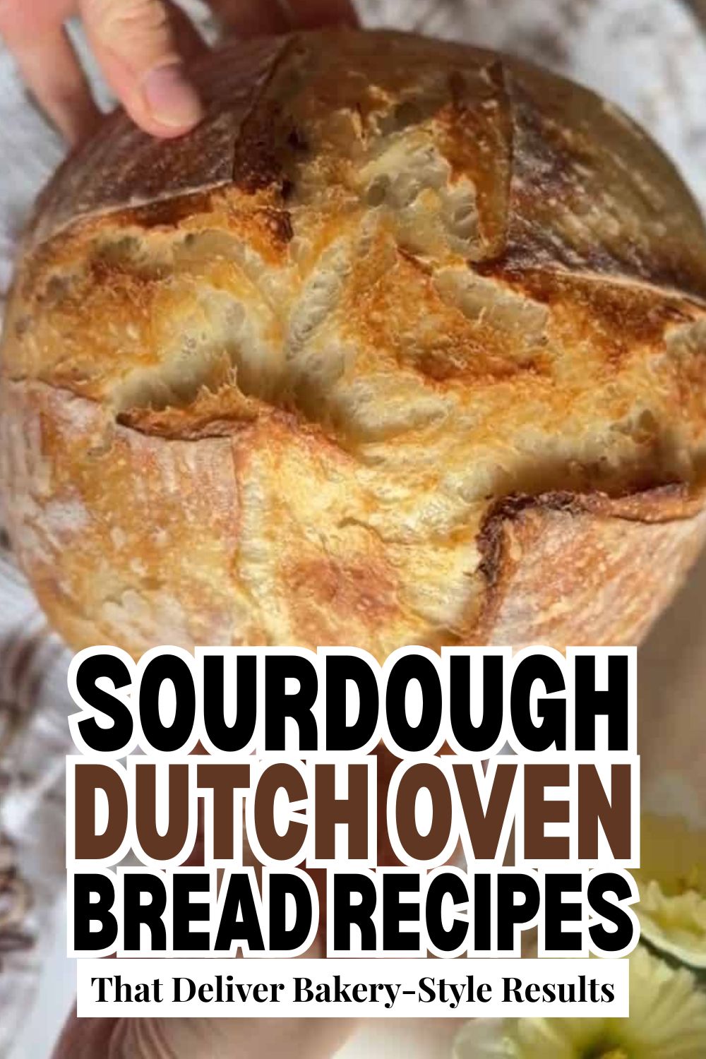 Freshly baked sourdough bread in a Dutch oven, crusty and golden.