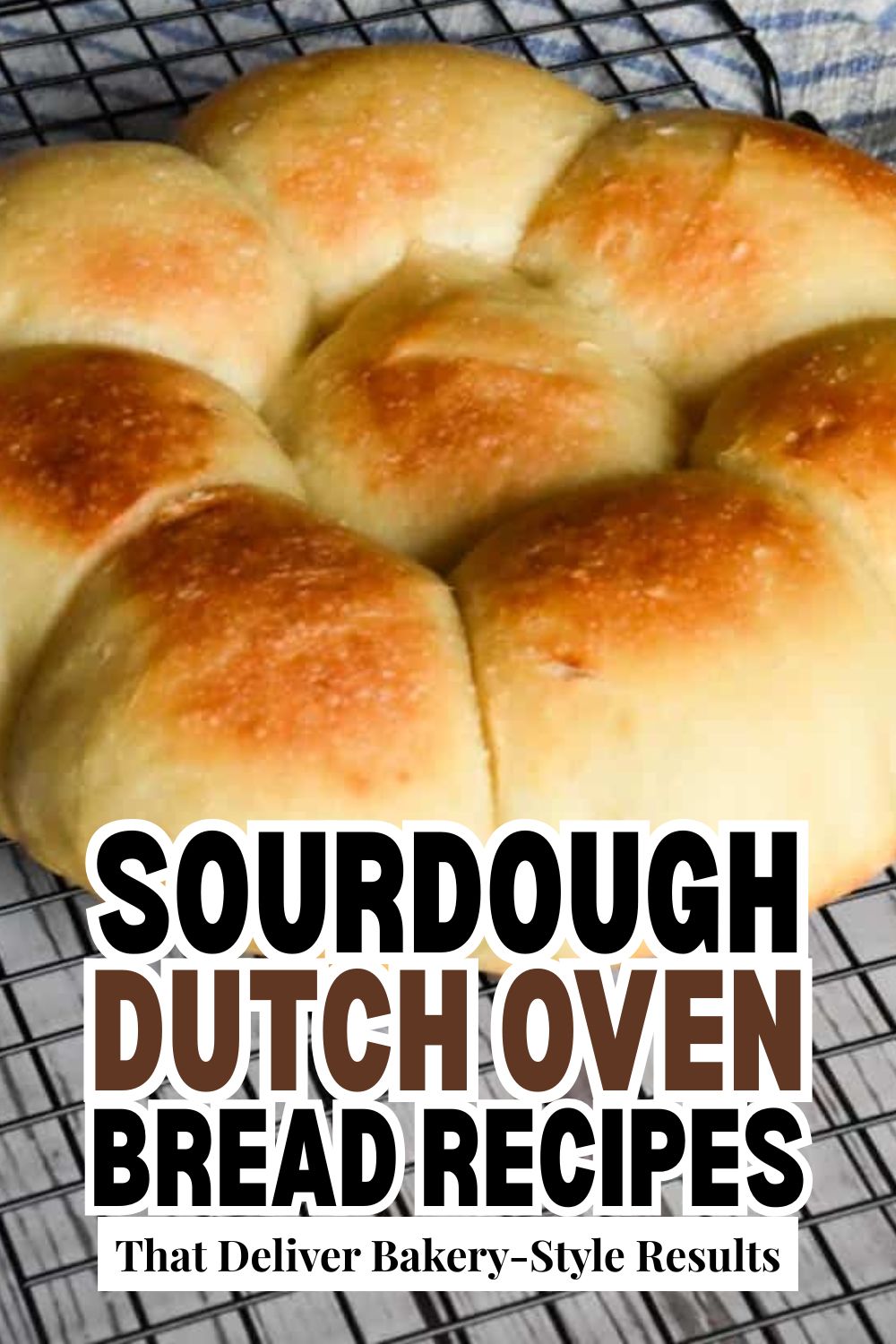 Freshly baked sourdough bread rolls cooling on a wire rack, showcasing perfect crust and texture.