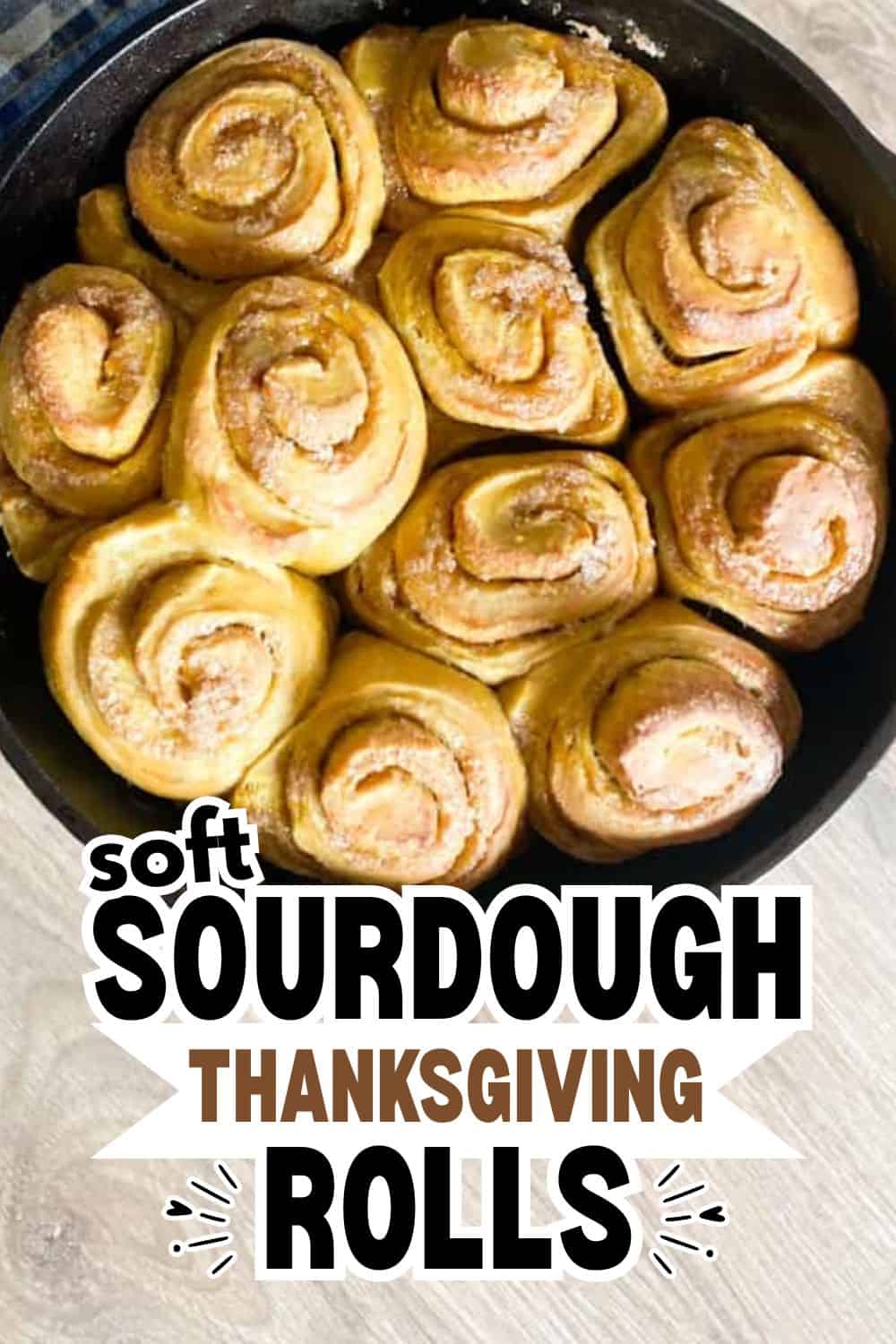 Freshly baked sourdough Thanksgiving rolls in a skillet.
