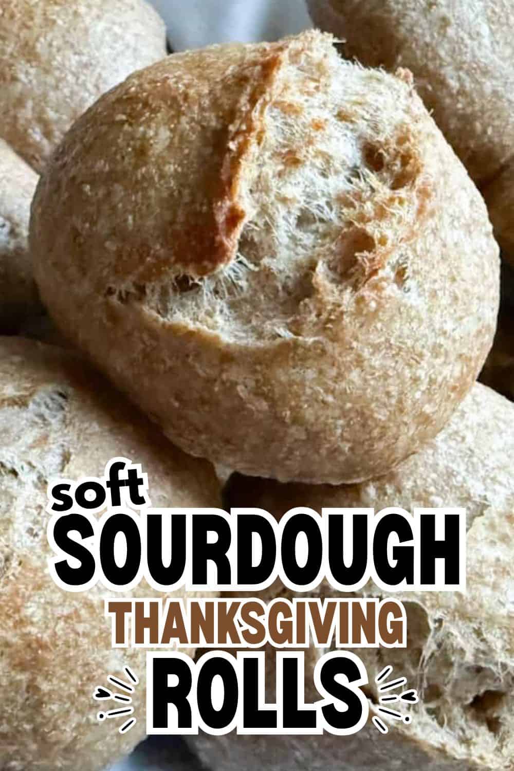 Close-up of freshly baked sourdough rolls for Thanksgiving feast.