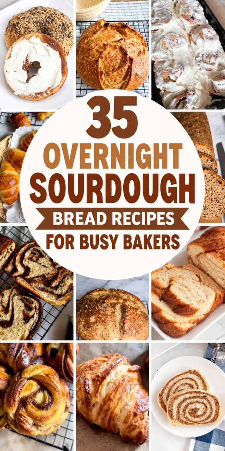 Collection of various sourdough bread baked goods for busy bakers.