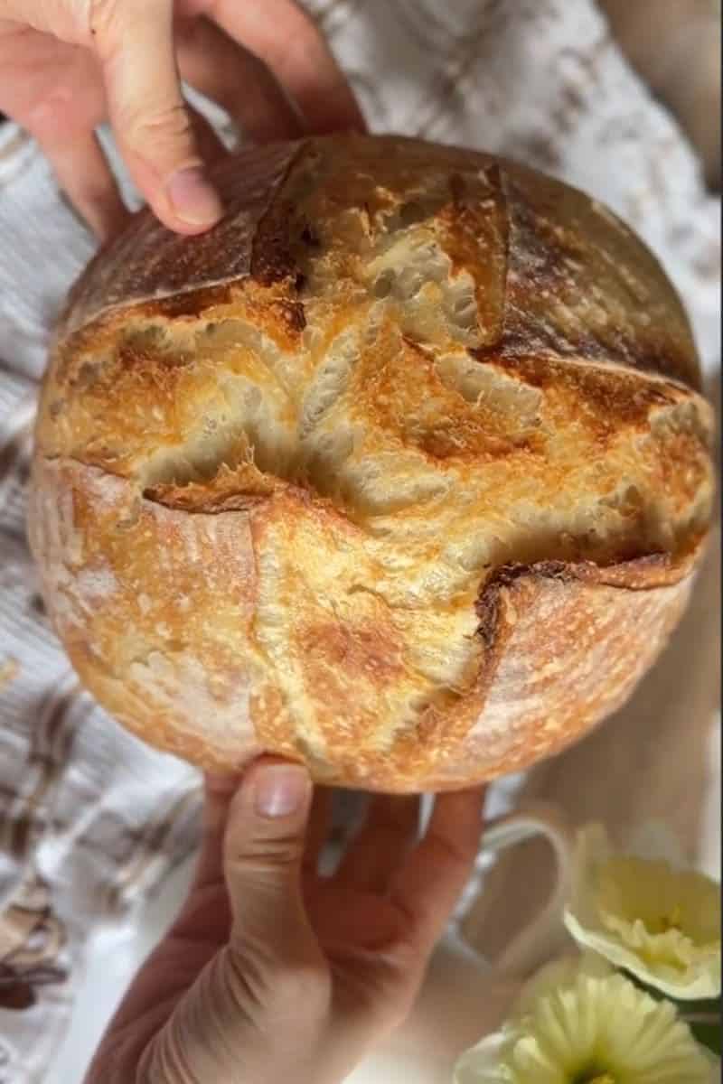 Close-up of a round loaf of bread with a golden crust and scoring marks.