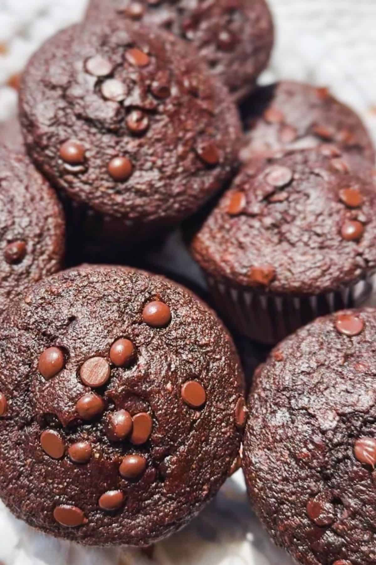 Chocolate zucchini muffins with chocolate chips, fresh and moist.