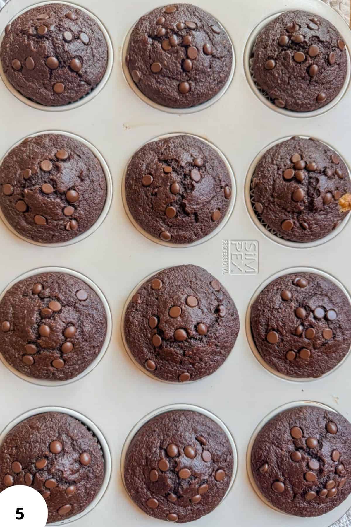 Freshly baked double chocolate zucchini muffins with chocolate chips on top.