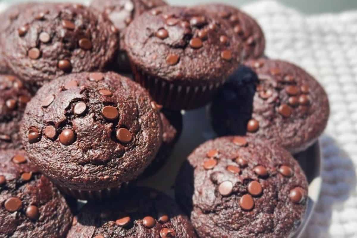 Chocolate muffins topped with chocolate chips, perfect for sourdough baking.
