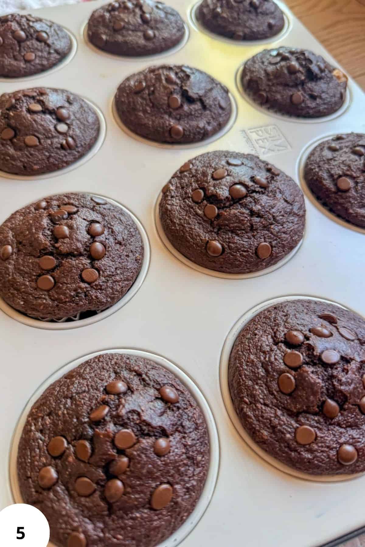 Freshly baked double chocolate zucchini muffins with chocolate chips on top.