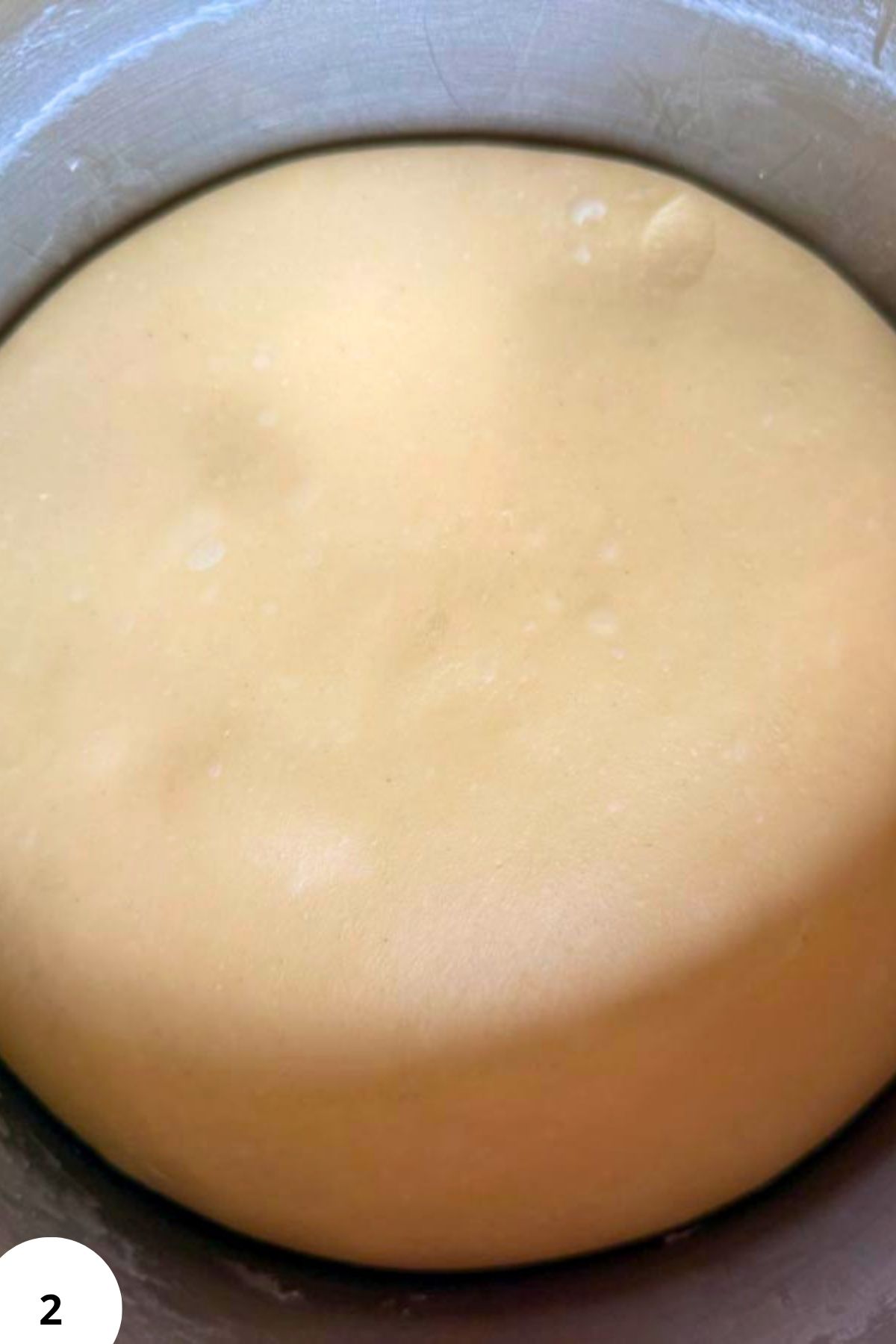 Dough in a bread machine ready for stretch and fold technique.