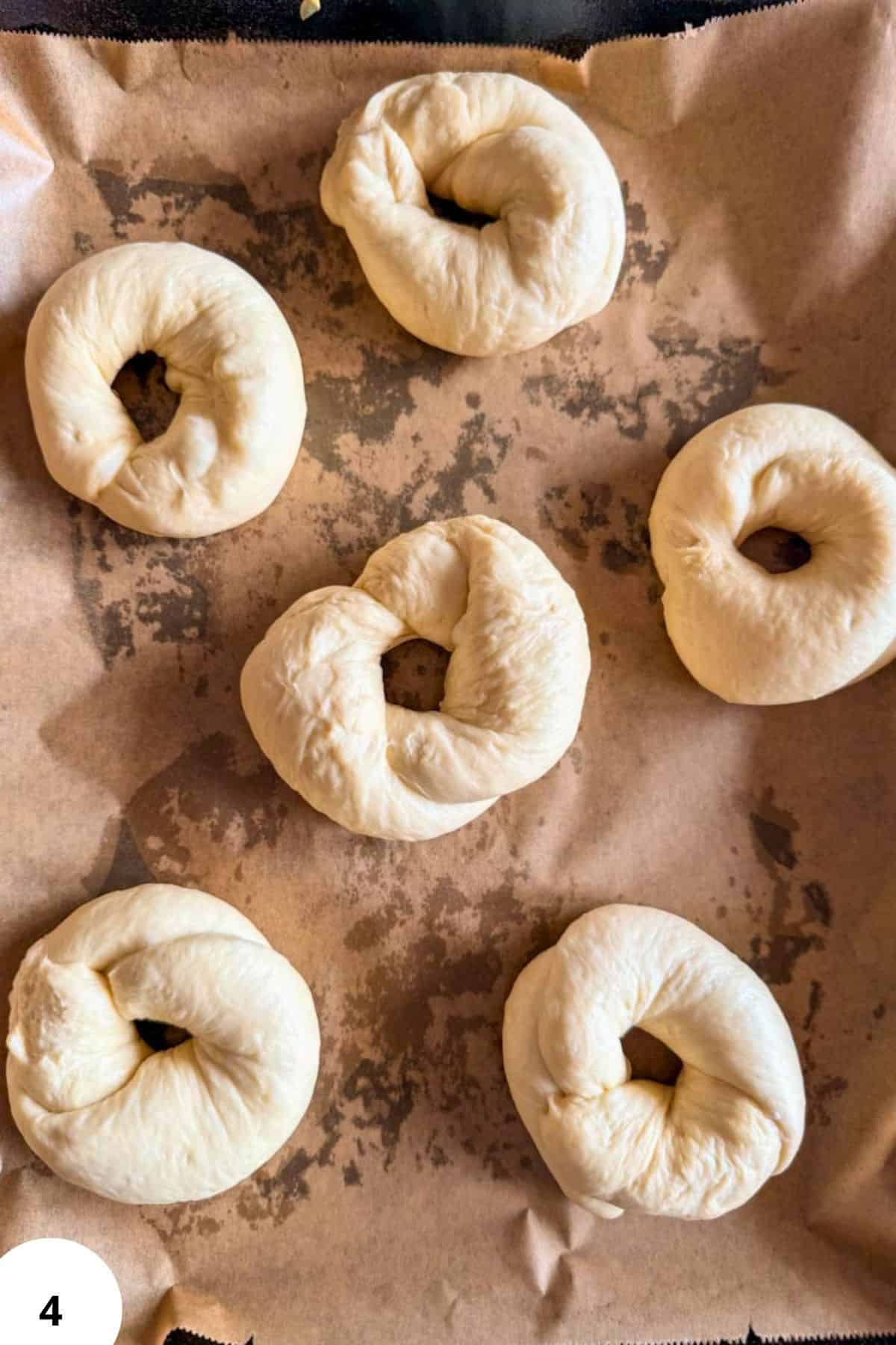 Seven dough balls shaped for bread on parchment paper.