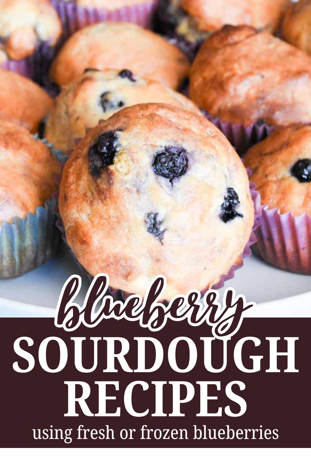 Fresh blueberry sourdough muffins with blueberries on top.