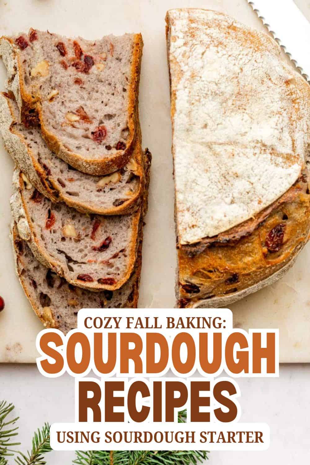 Sourdough bread with dried fruit slices on a white surface.