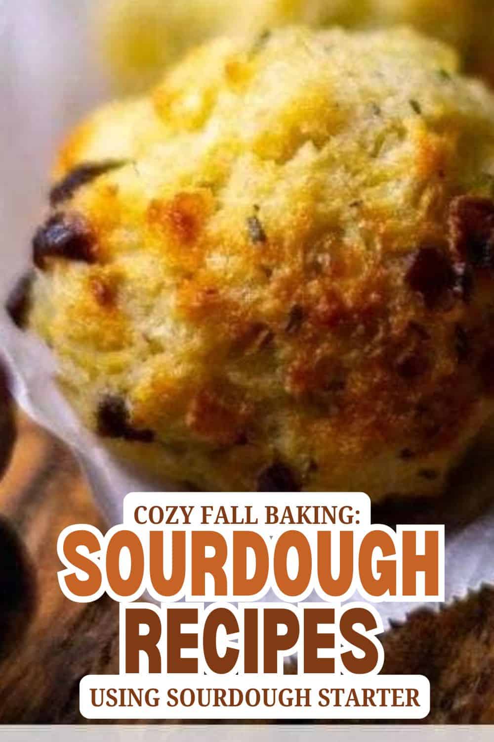 Sourdough bread muffin with golden crust and dark raisins, perfect for fall baking.