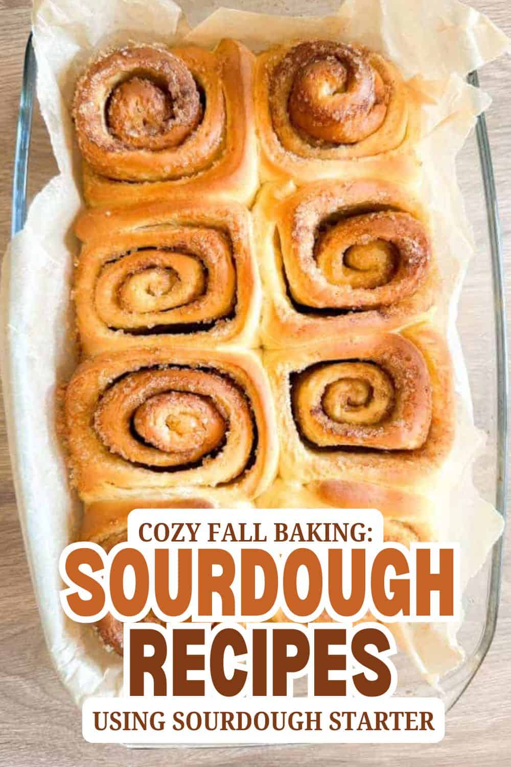 Freshly baked sourdough cinnamon rolls in a baking dish.