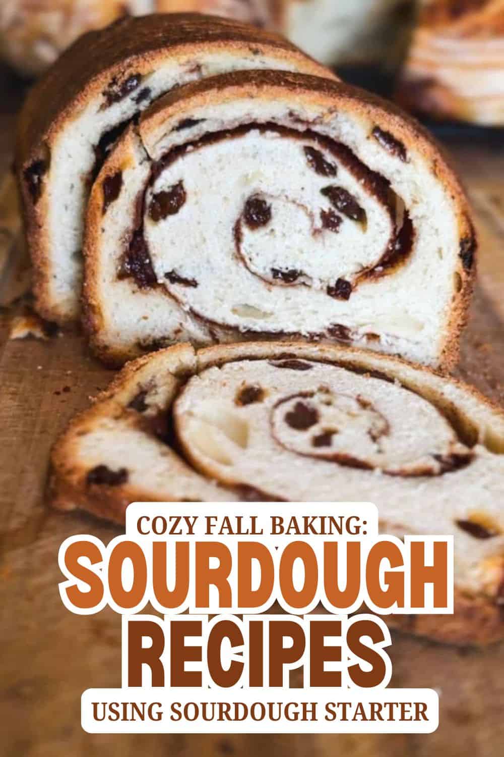 Sourdough bread roll with chocolate chips and swirl pattern.