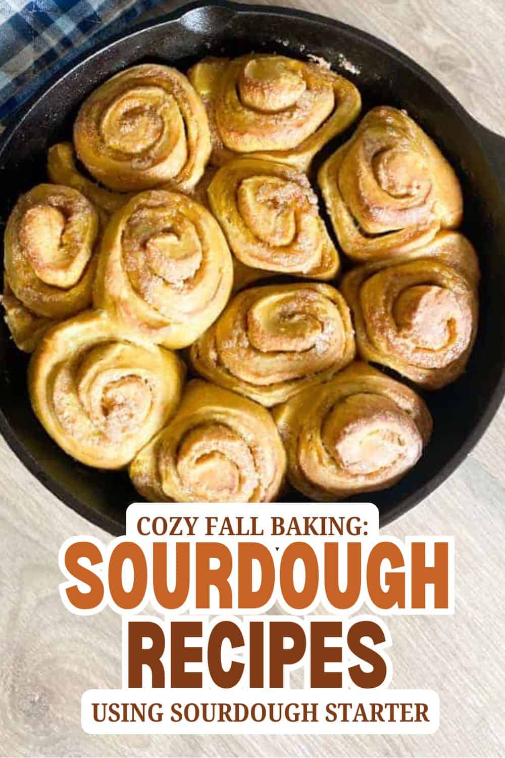 Freshly baked sourdough cinnamon rolls in a cast iron skillet for cozy fall baking.