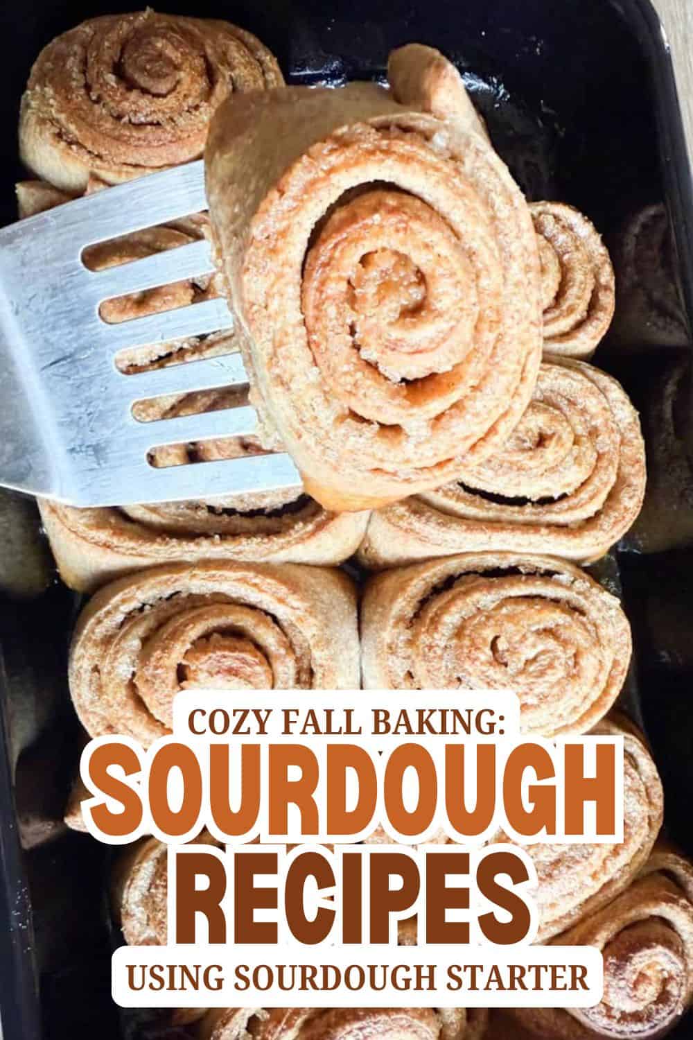 Freshly baked sourdough cinnamon rolls in a baking tray.