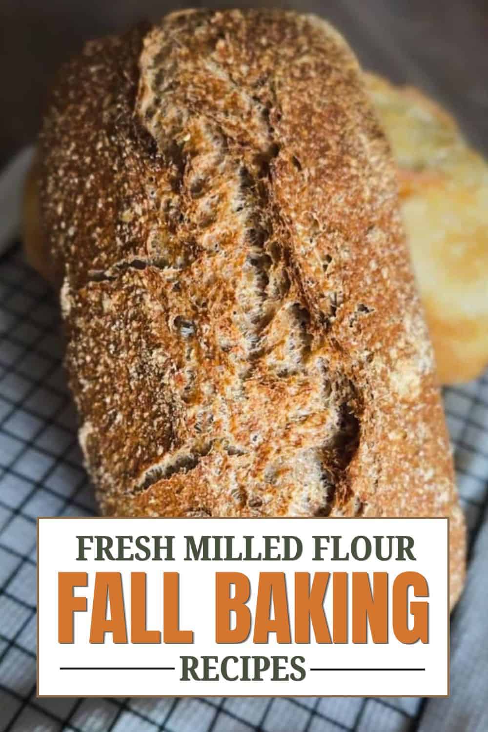 Close-up of freshly baked bread made with milled flour for fall recipes.