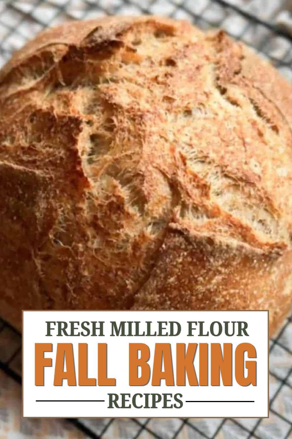 Close-up of a rustic bread loaf made with fresh milled flour for fall baking.