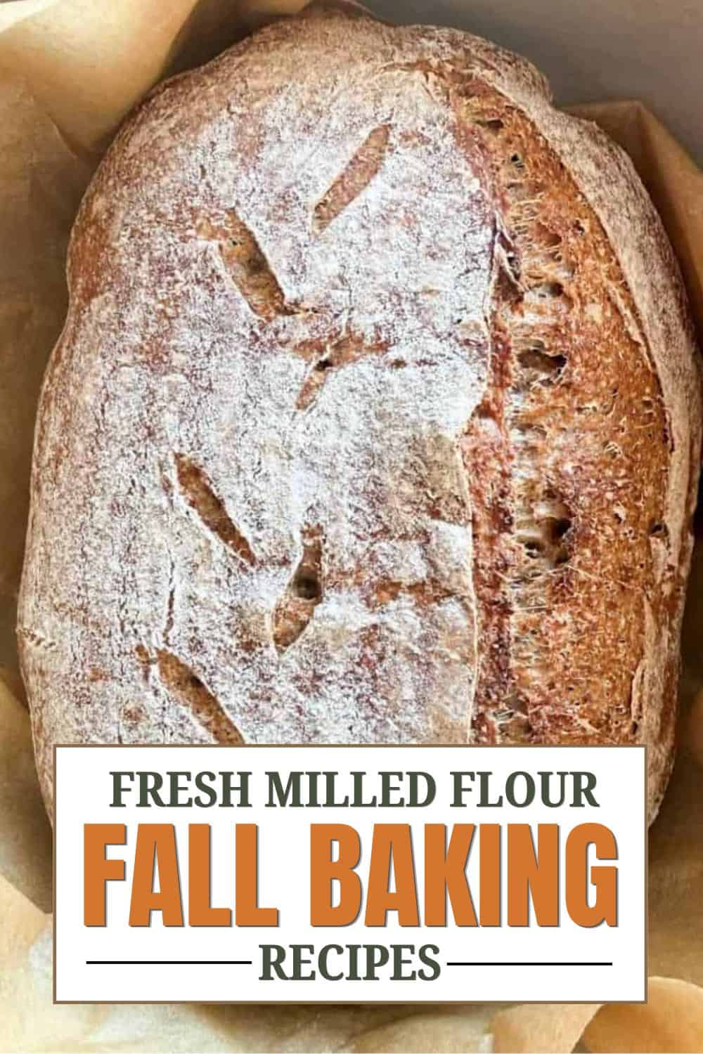 Freshly baked bread made with fresh milled flour for fall recipes.