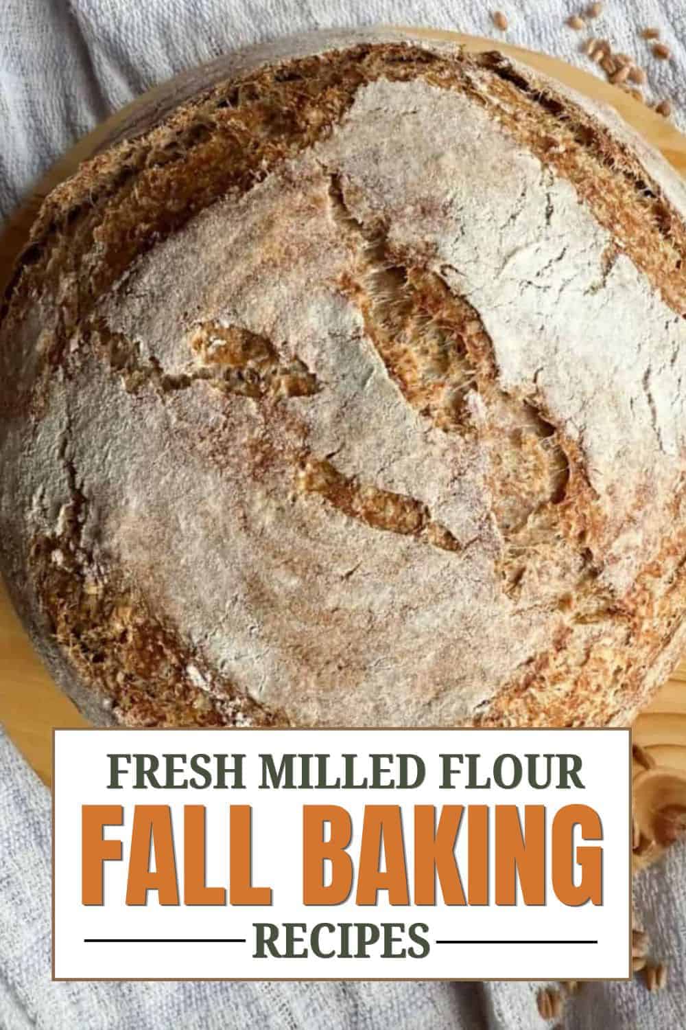 Close-up of a rustic bread loaf made with fresh milled flour.