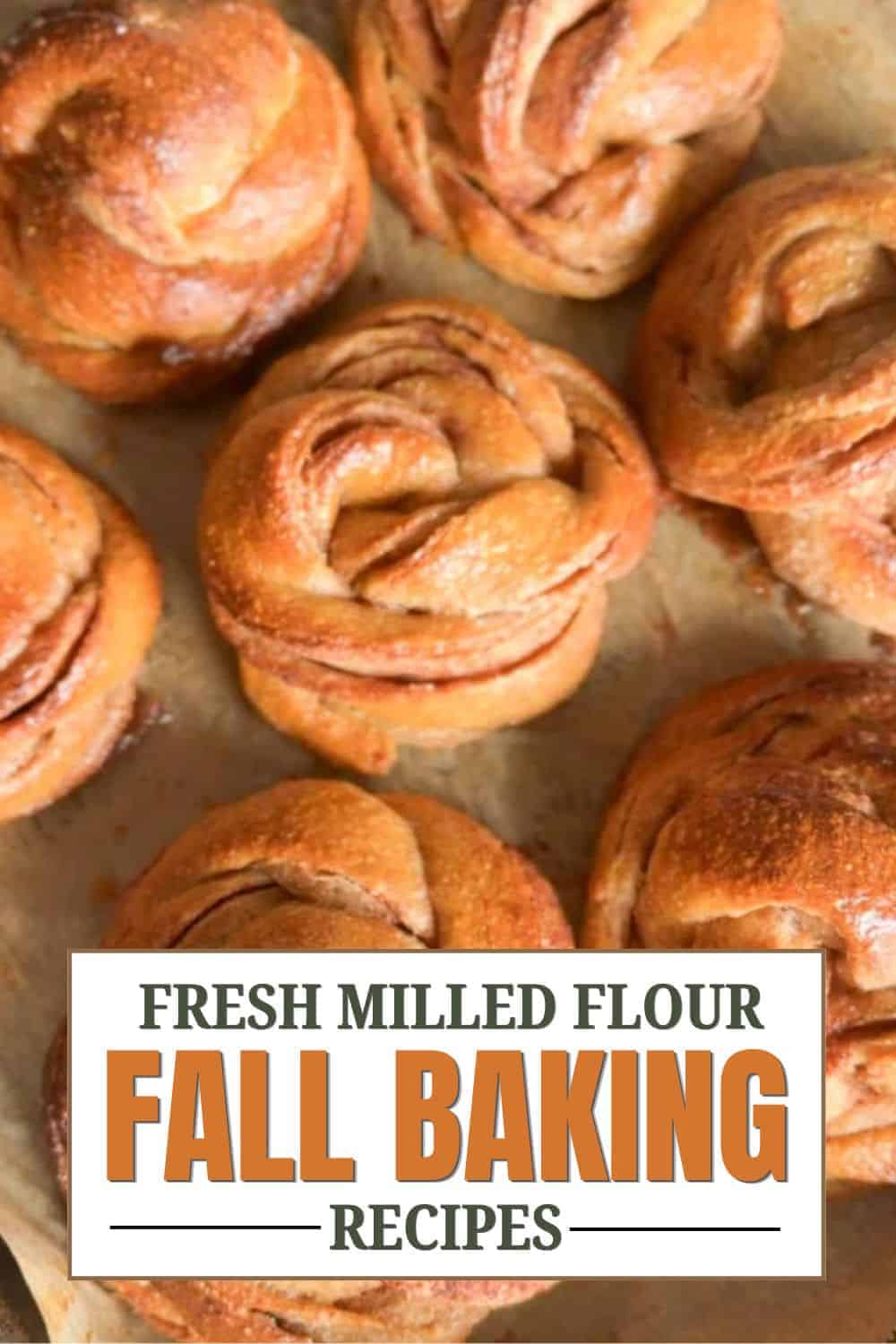 Close-up of freshly baked bread rolls for fall baking recipes.