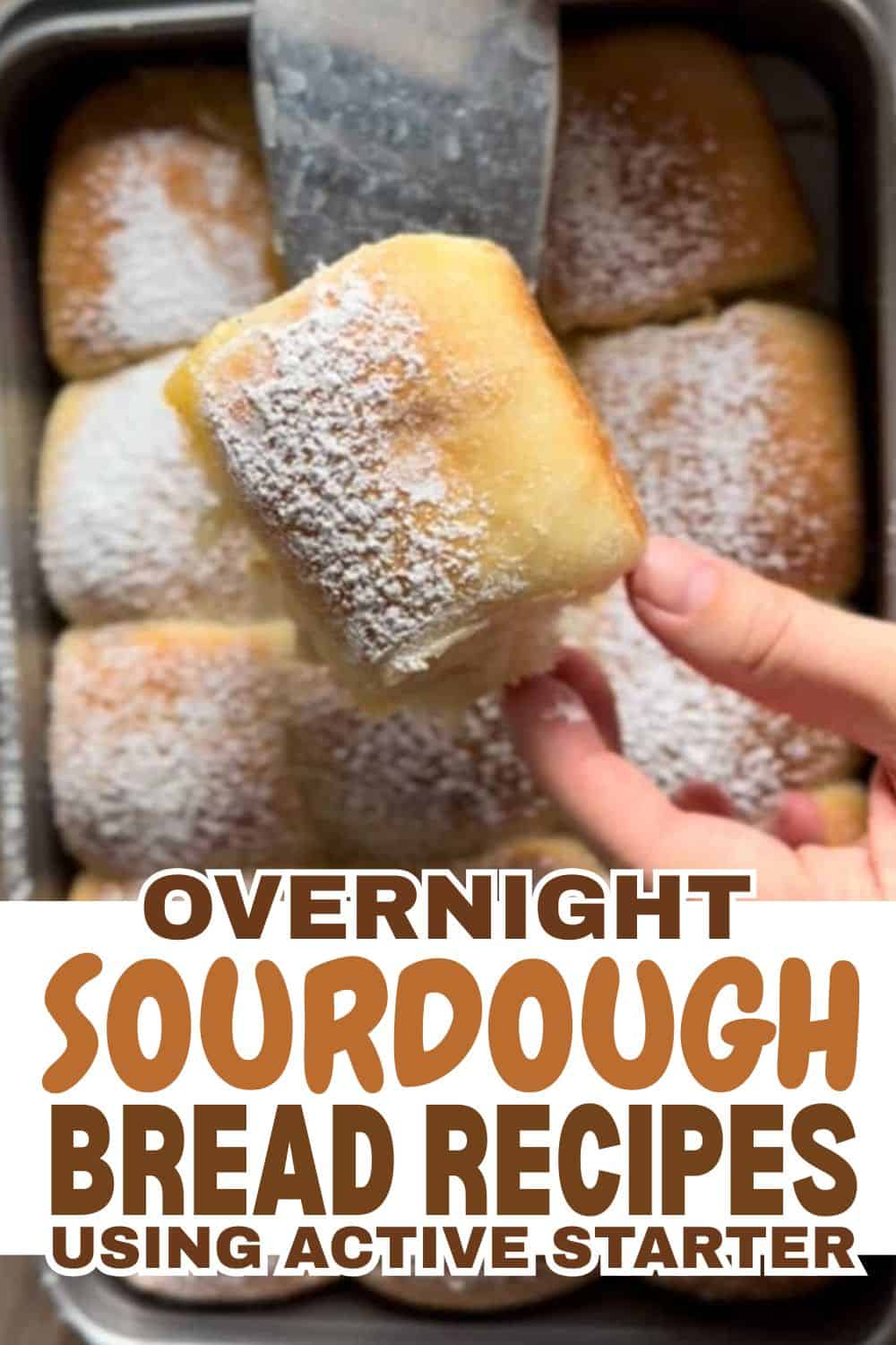 Close-up of a hand holding a freshly baked sourdough bread roll dusted with flour.