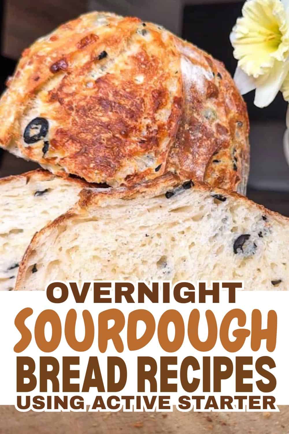 Freshly baked sourdough bread with a golden crust and black olives.