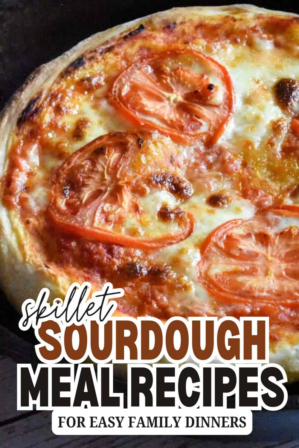 Close-up of a sourdough pizza with tomatoes and cheese, perfect for bread baking enthusiasts.