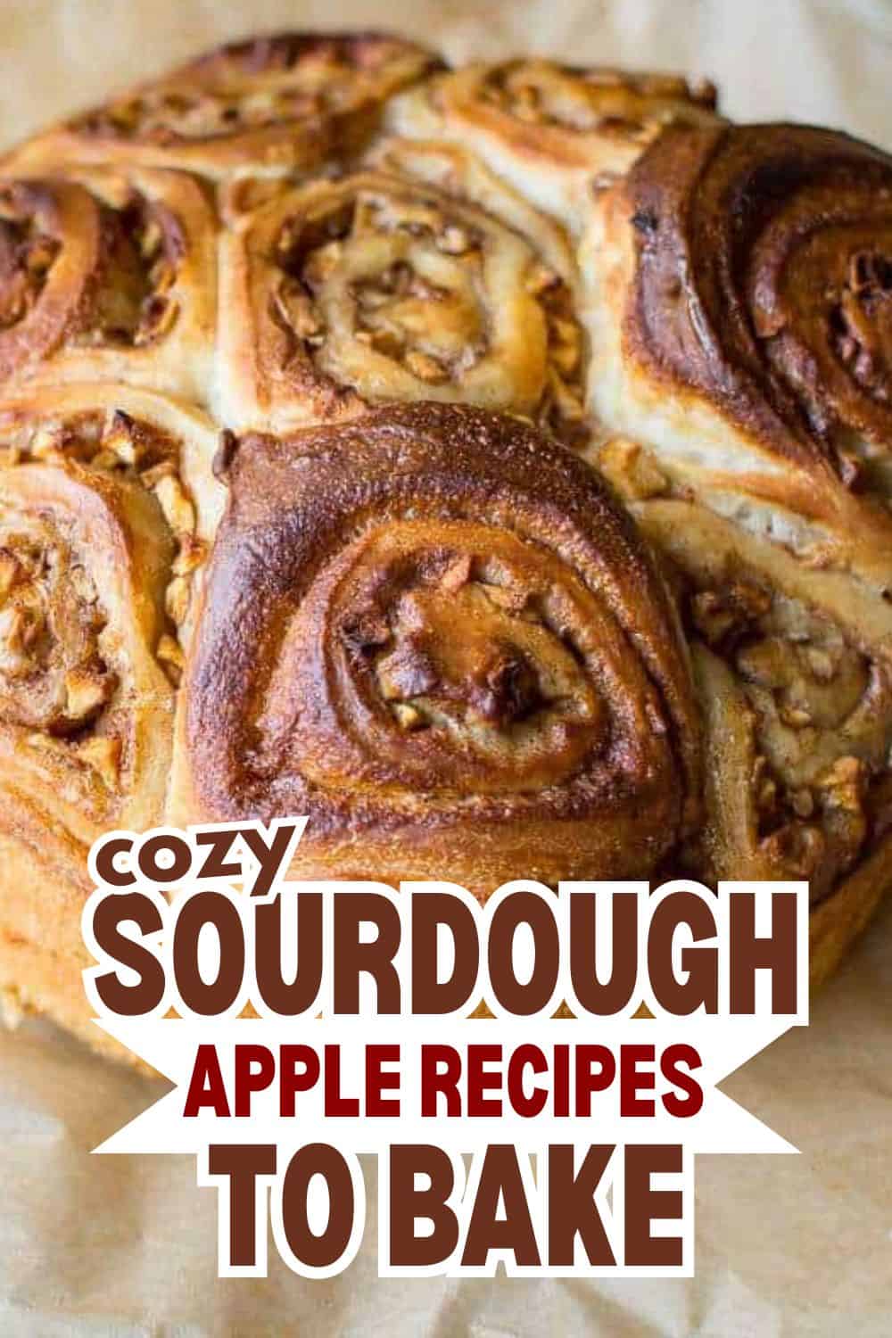 Close-up of freshly baked sourdough apple cinnamon rolls with swirls and nuts.