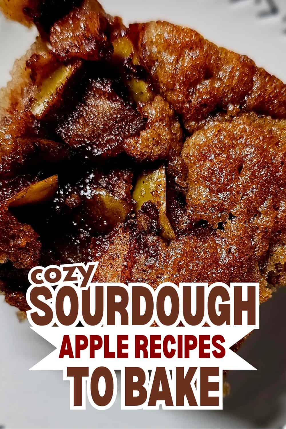 Close-up of sourdough bread with apple pieces for baking recipes.