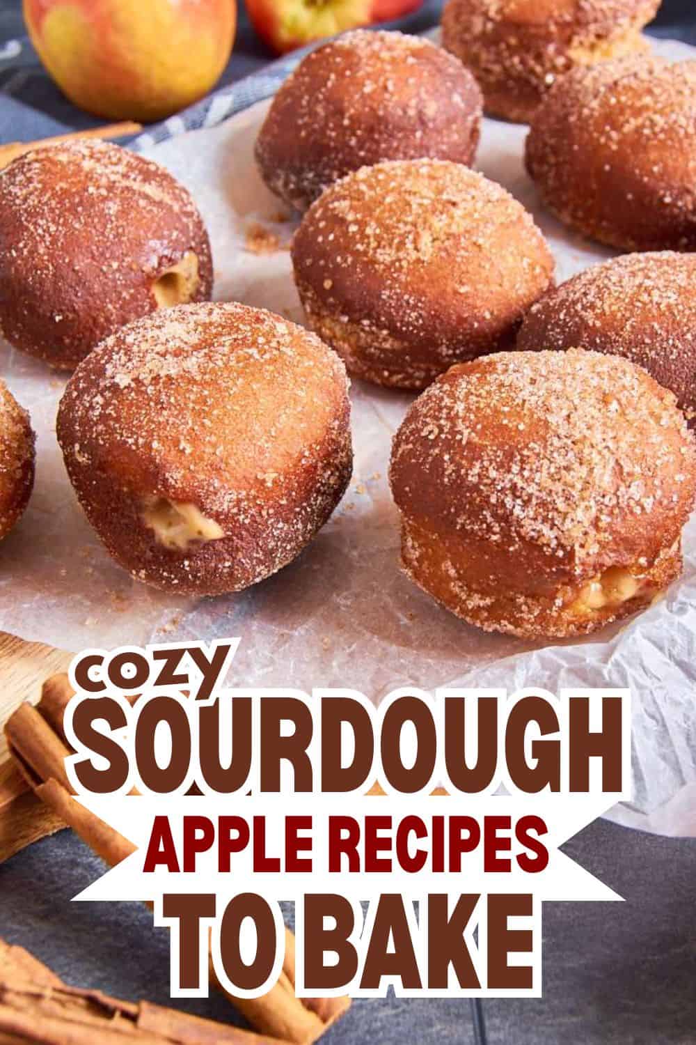 Fresh sourdough apple doughnuts with sugar coating on parchment paper.