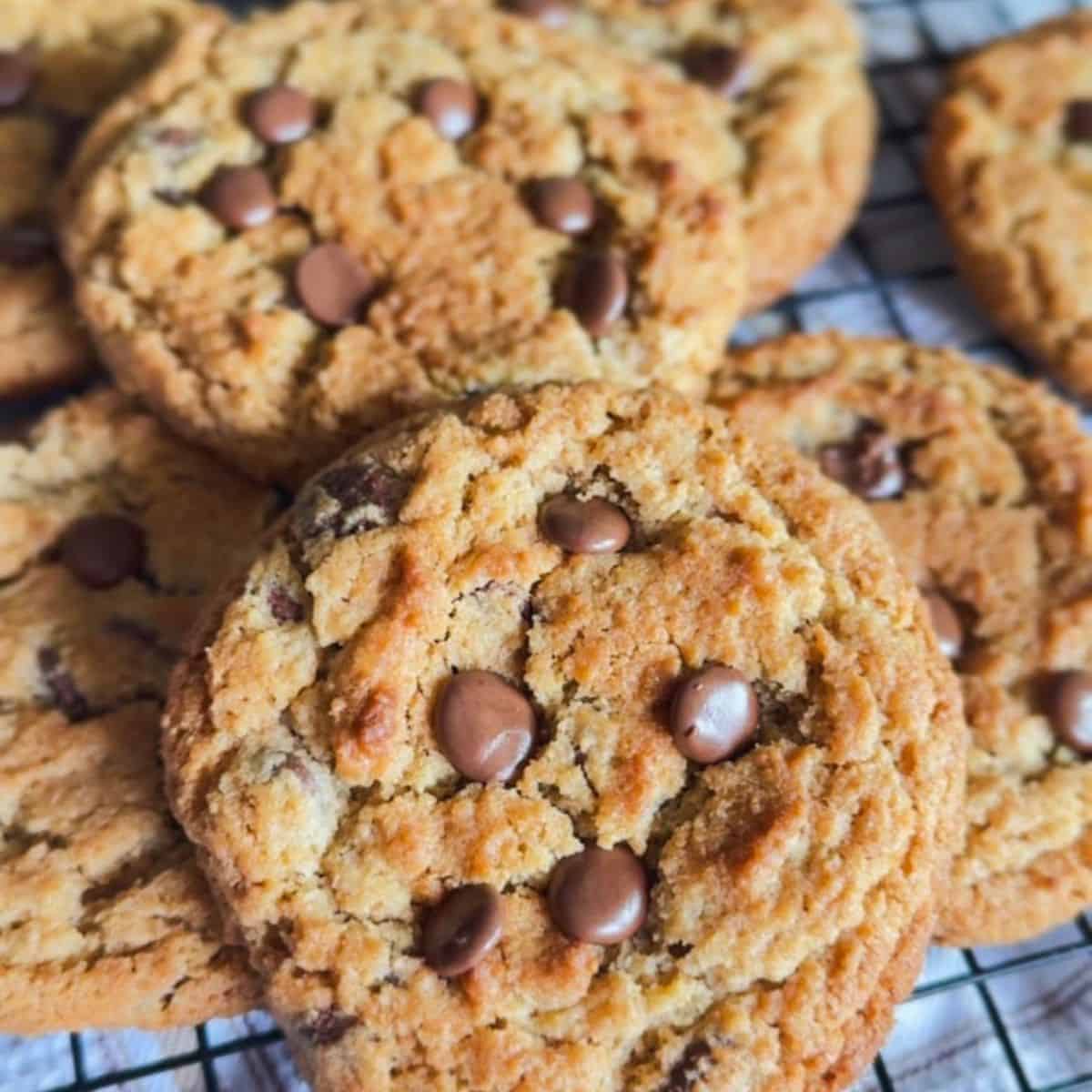 Freshly baked chocolate chip cookies with gooey chocolate chips on cooling rack.