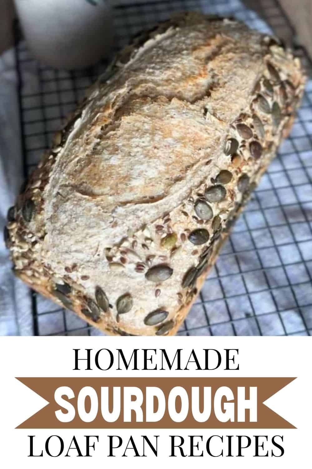 Freshly baked sourdough bread with pumpkin seeds on crust.